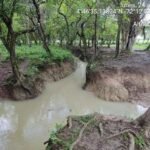 Campo-estero-abiotico-Erosion-Fluvial-Campo-Estero