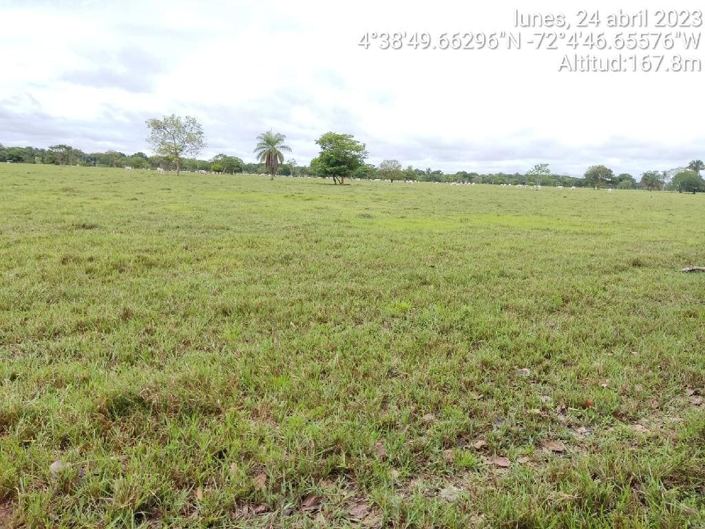 Campo-estero-abiotico-Planicies